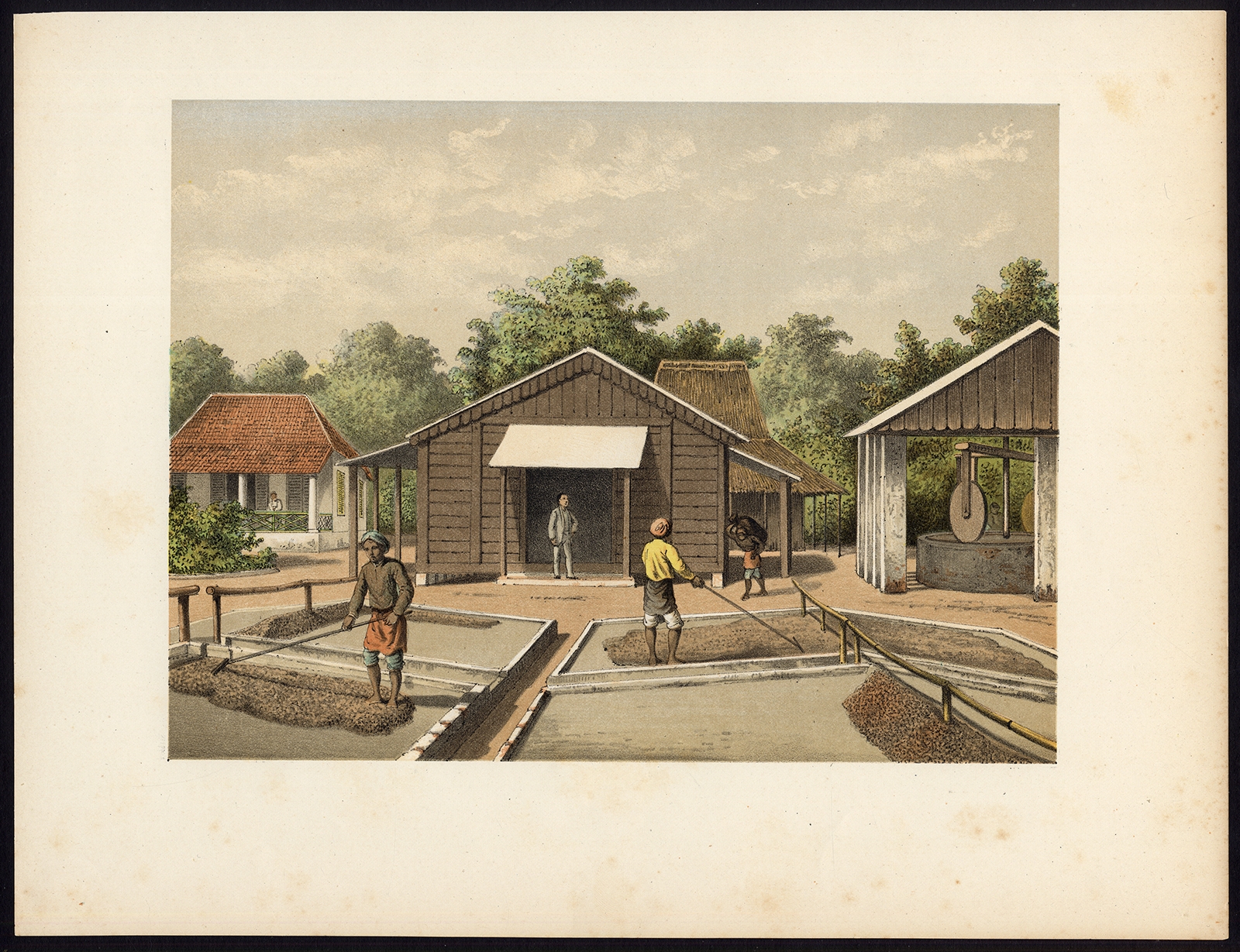 Antique Print of the Coffee Beans production on Sumatra by Perelaer (1888)