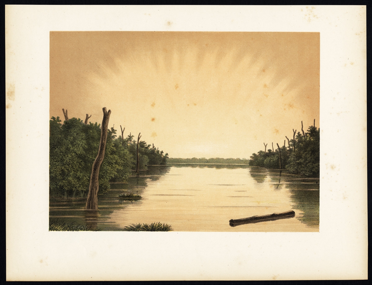 Antique Print of the Paminger Lakes by Perelaer (1888)