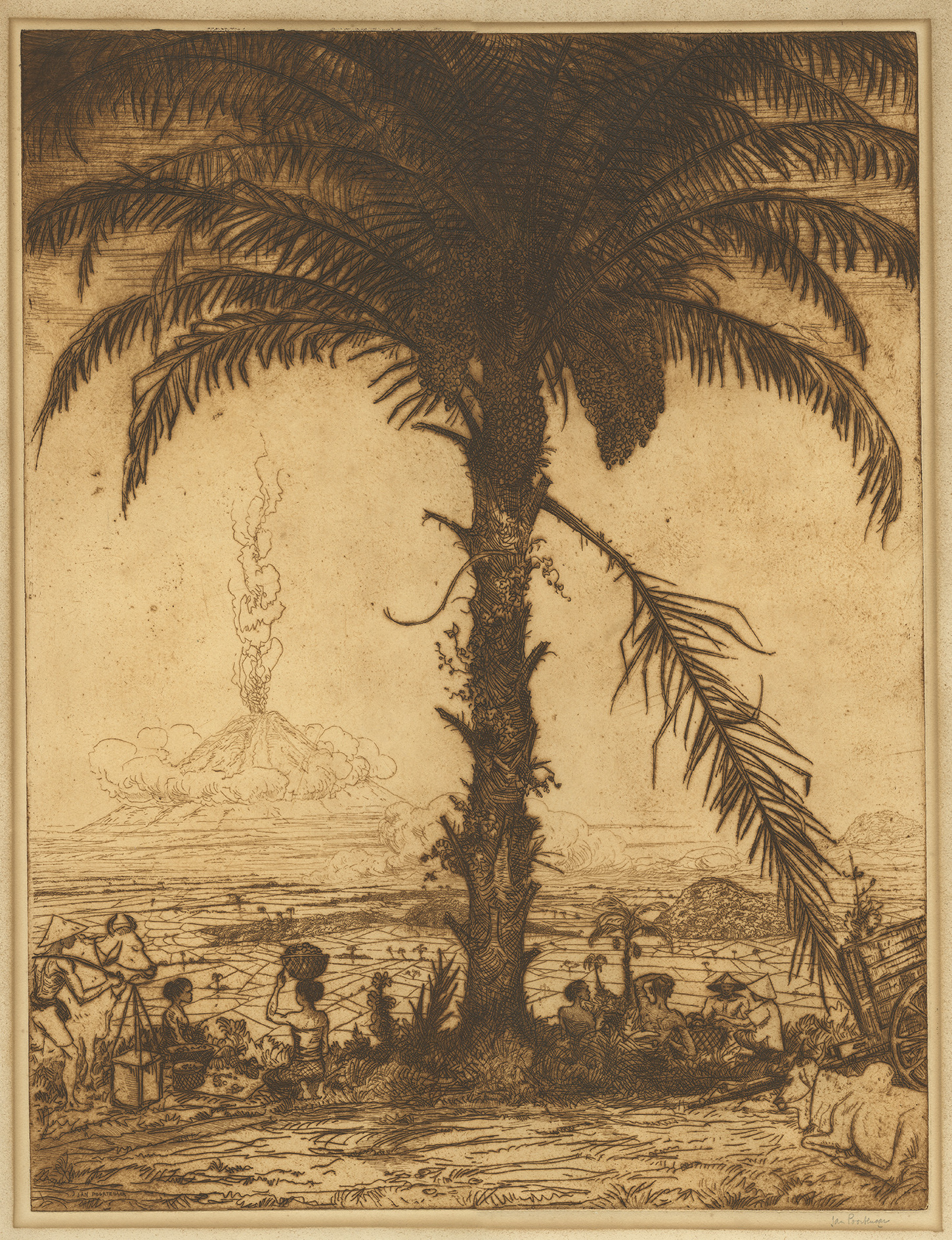 Antique Etching Java Landscape by Poortenaar (c.1922)