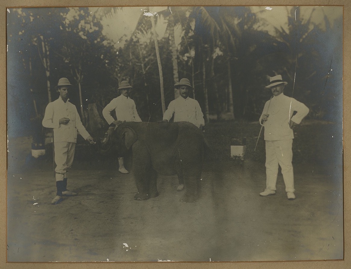Antique Print Sumatra Plantation (c.1905)