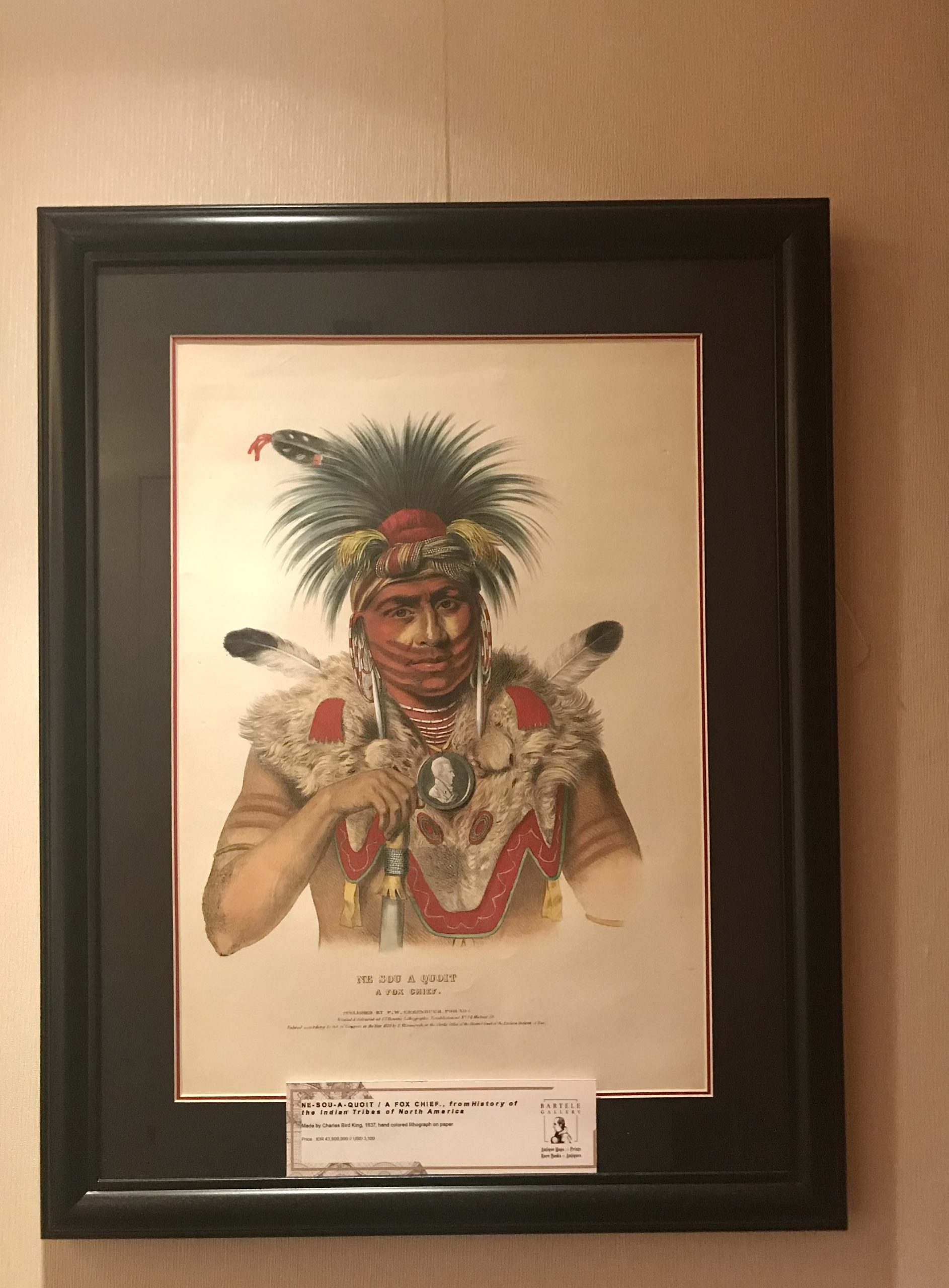A Fox Chief – Charles Bird King (c.1837)