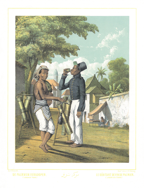 Antique Print of a Palm Wine Seller by Van Pers (c.1858)